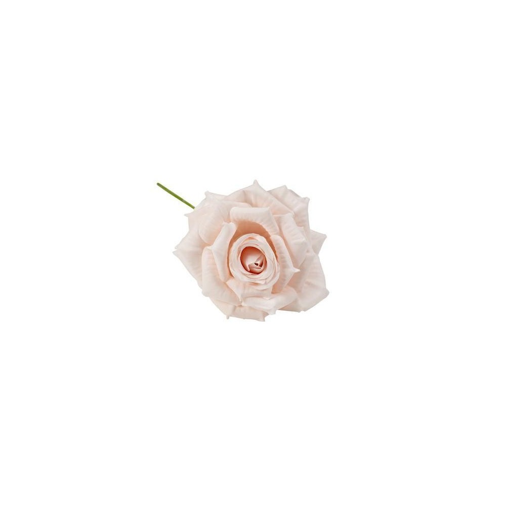 ROSA GRANDE 7CM CIPRIA